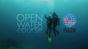 PADI_Open_water