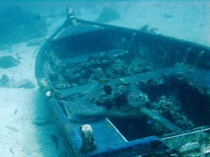 Wreck Diving