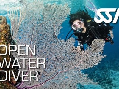 Open Water Diver