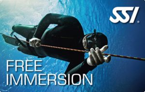 Free Immersion (FIM)