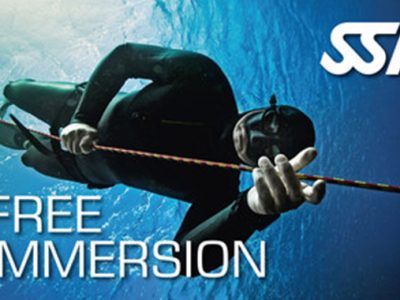 Free Immersion (FIM)