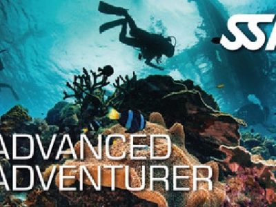 Advanced Adventurer