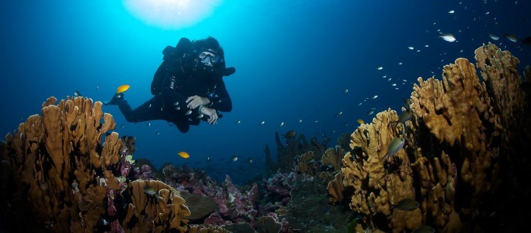 Deep Diving